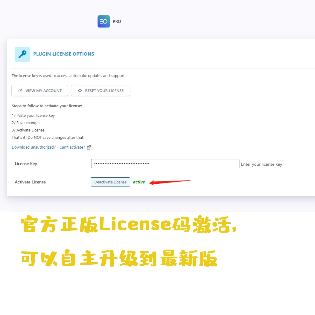 Licence authentique SEOPress Pro Plugin