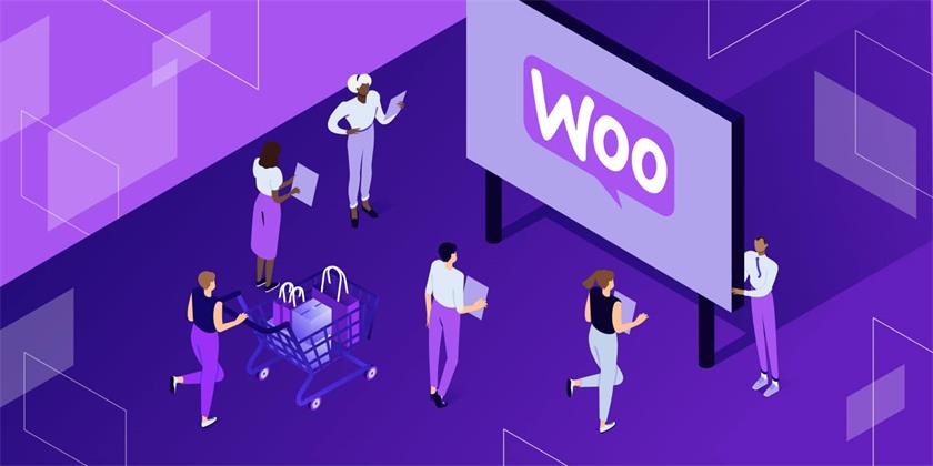 为 WooCommerce 商店添加自定义产品字段：全面指南