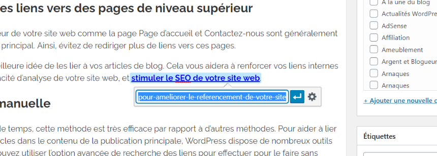 12 bonnes pratiques pour optimiser les liens internes de WordPress : augmenter le trafic et les résultats SEO