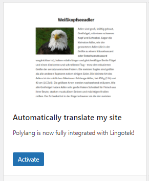 How to Create and Manage a Multilingual Knowledge Base with the Translation Plugin