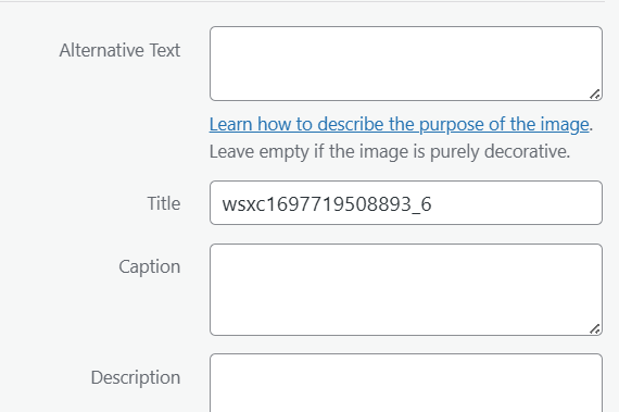 Una visión completa de los paneles de WordPress: guía de gestión, personalización y optimización