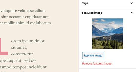 Featured Image Preview in Post Editor