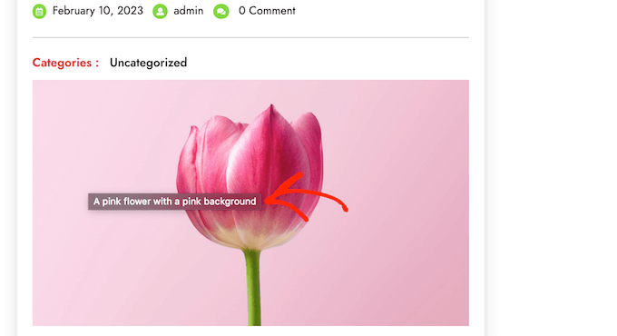 Example of an image with caption attribute in WordPress