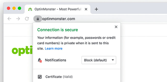 受 SSL 和 HTTPS 保护的网站