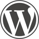 Explicação completa: Diferença entre WordPress.Org e WordPress.com, qual é o melhor para o seu site ou blogue?