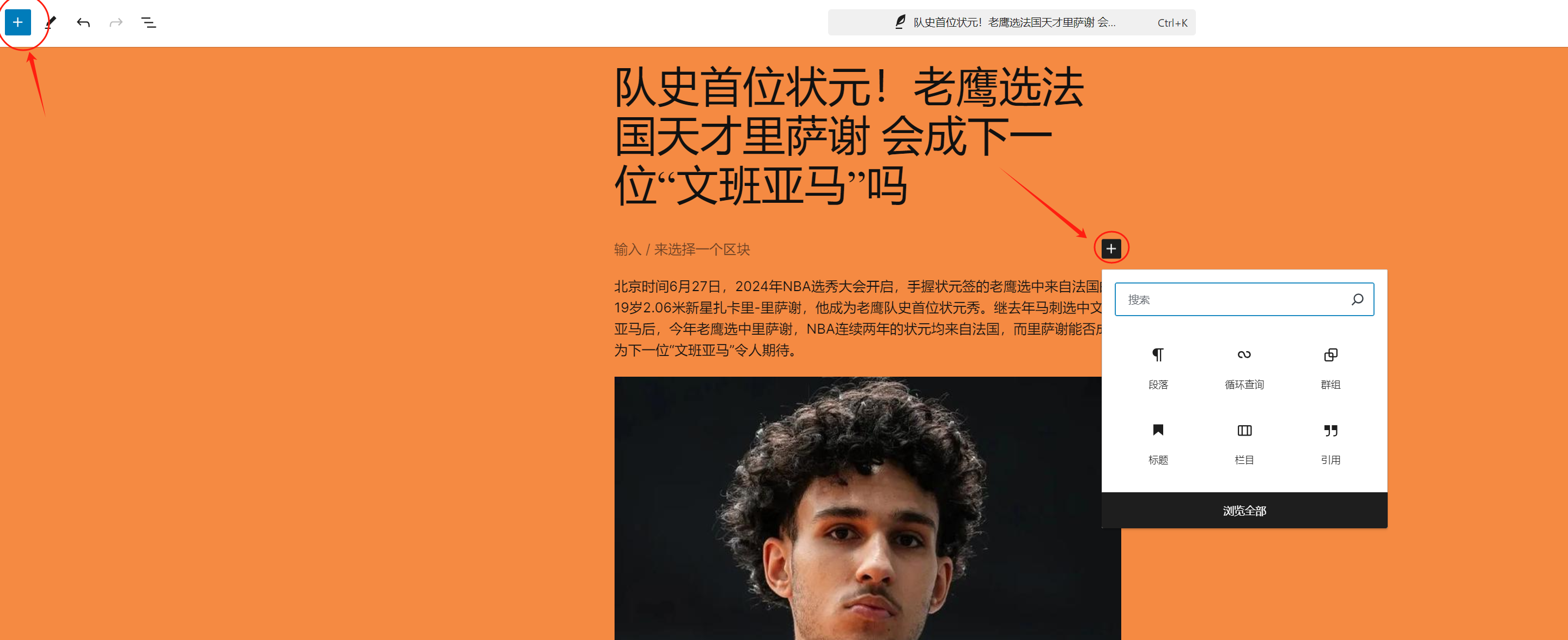 如何使用 WordPress 默认主题和 Gutenberg 编辑器编写博客文章（02）