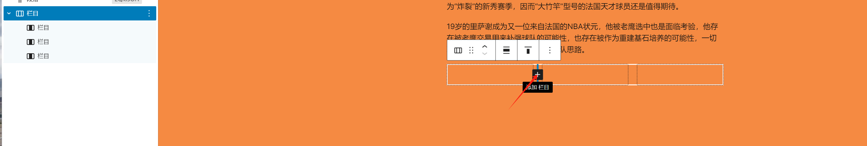 深入掌握 Gutenberg 编辑器：实用技巧与高级功能详解（03）