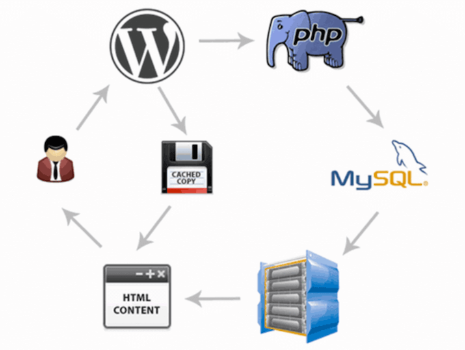 ¿Cómo borro la caché en WordPress?