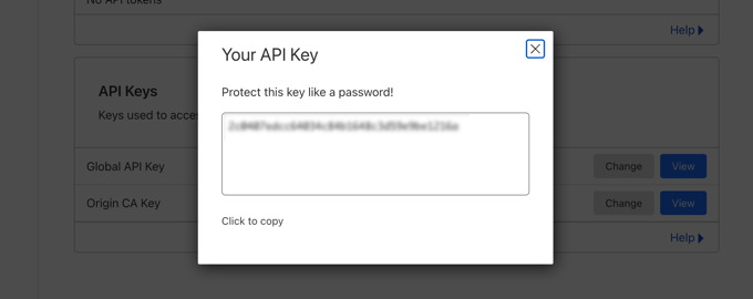 Click to copy the global API key