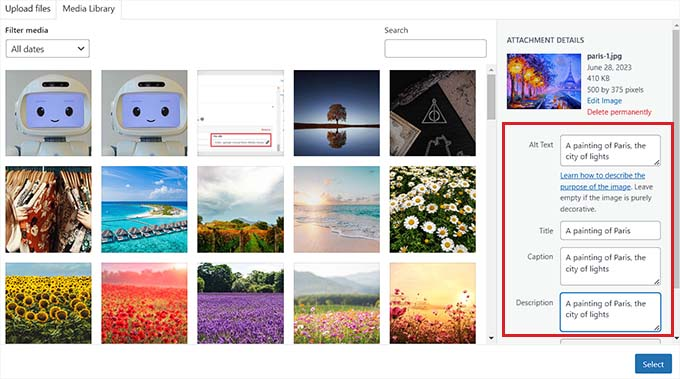 Comment ajouter correctement des images à un site web WordPress