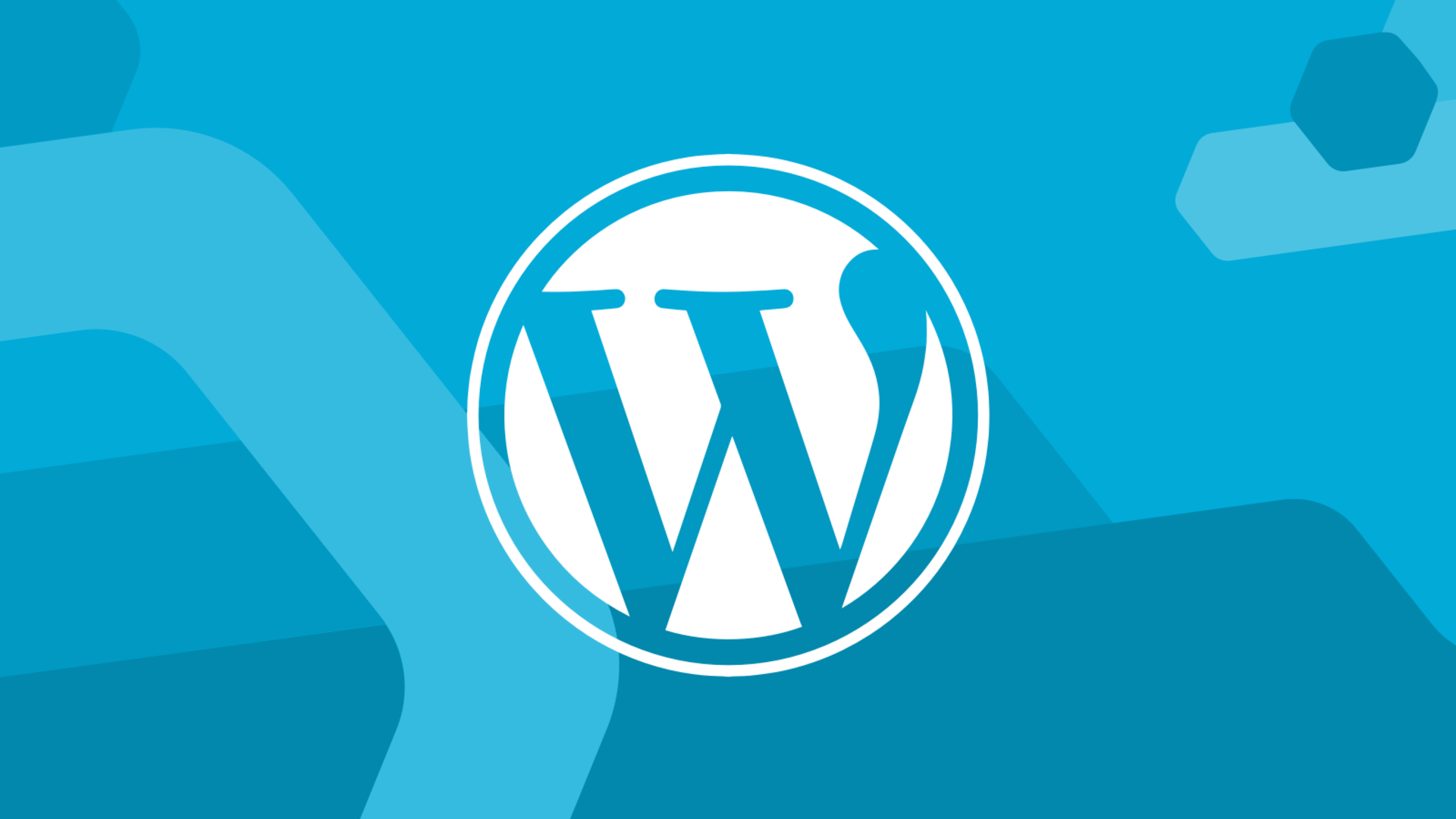 Cómo añadir imágenes correctamente a un sitio web WordPress