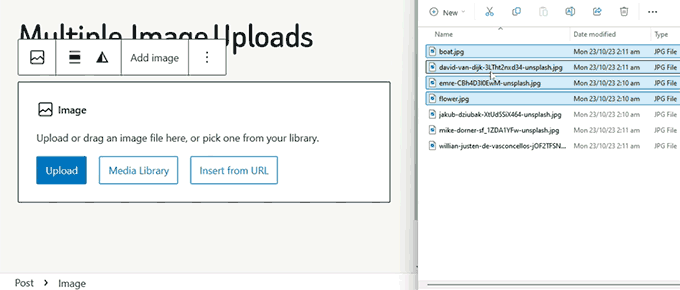 WordPress 6.7 Update: In-depth Analysis of New Features and Improvements