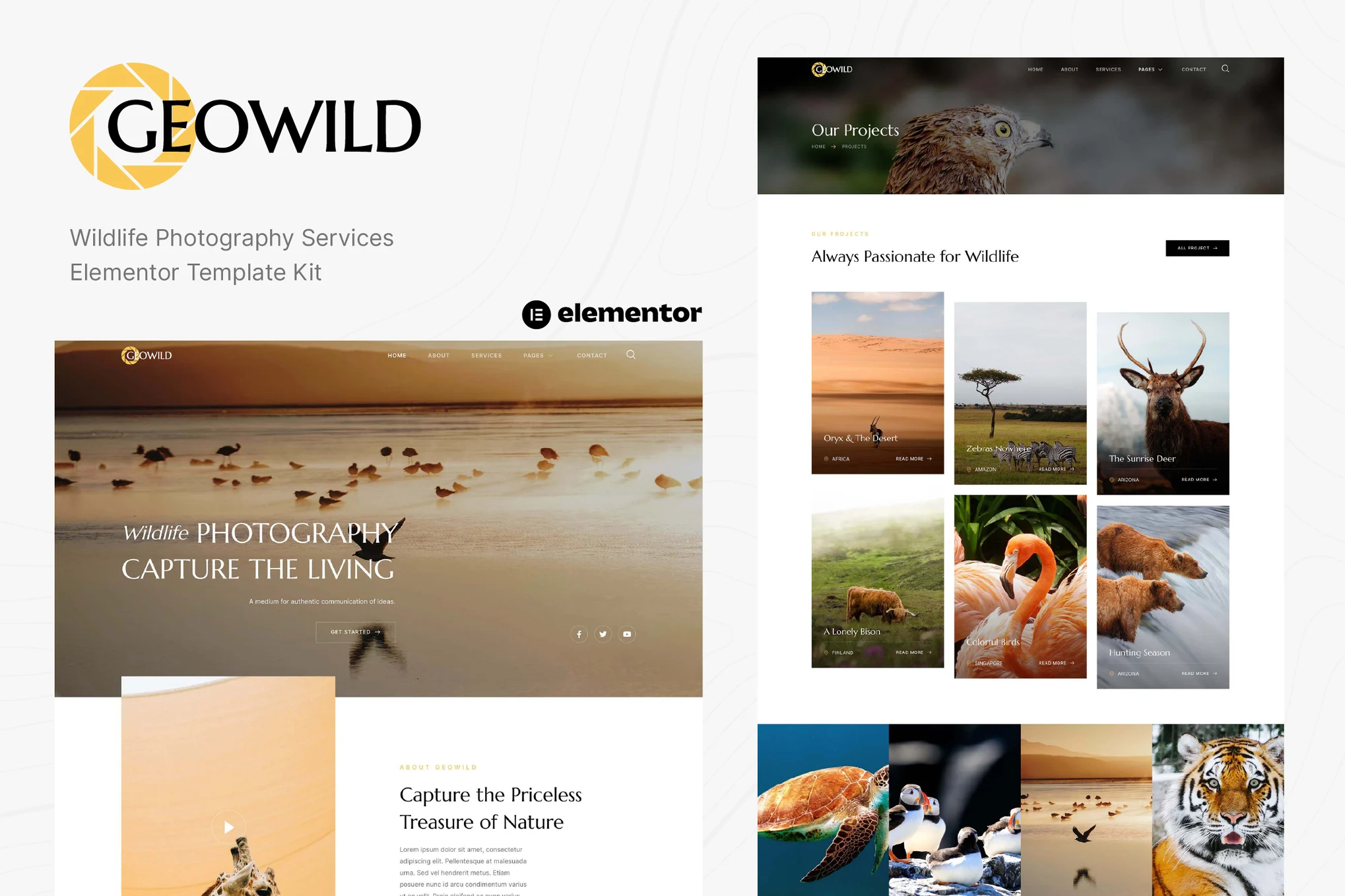 Geowild – Wildlife Photography Services Elementor Template Kit-光子波动网 | 专业WordPress修复服务，全球范围，快速响应