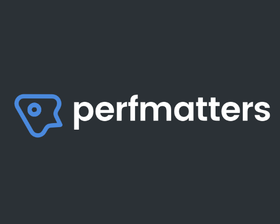 Perfmatters : l'outil ultime d'optimisation des performances des sites web WordPress