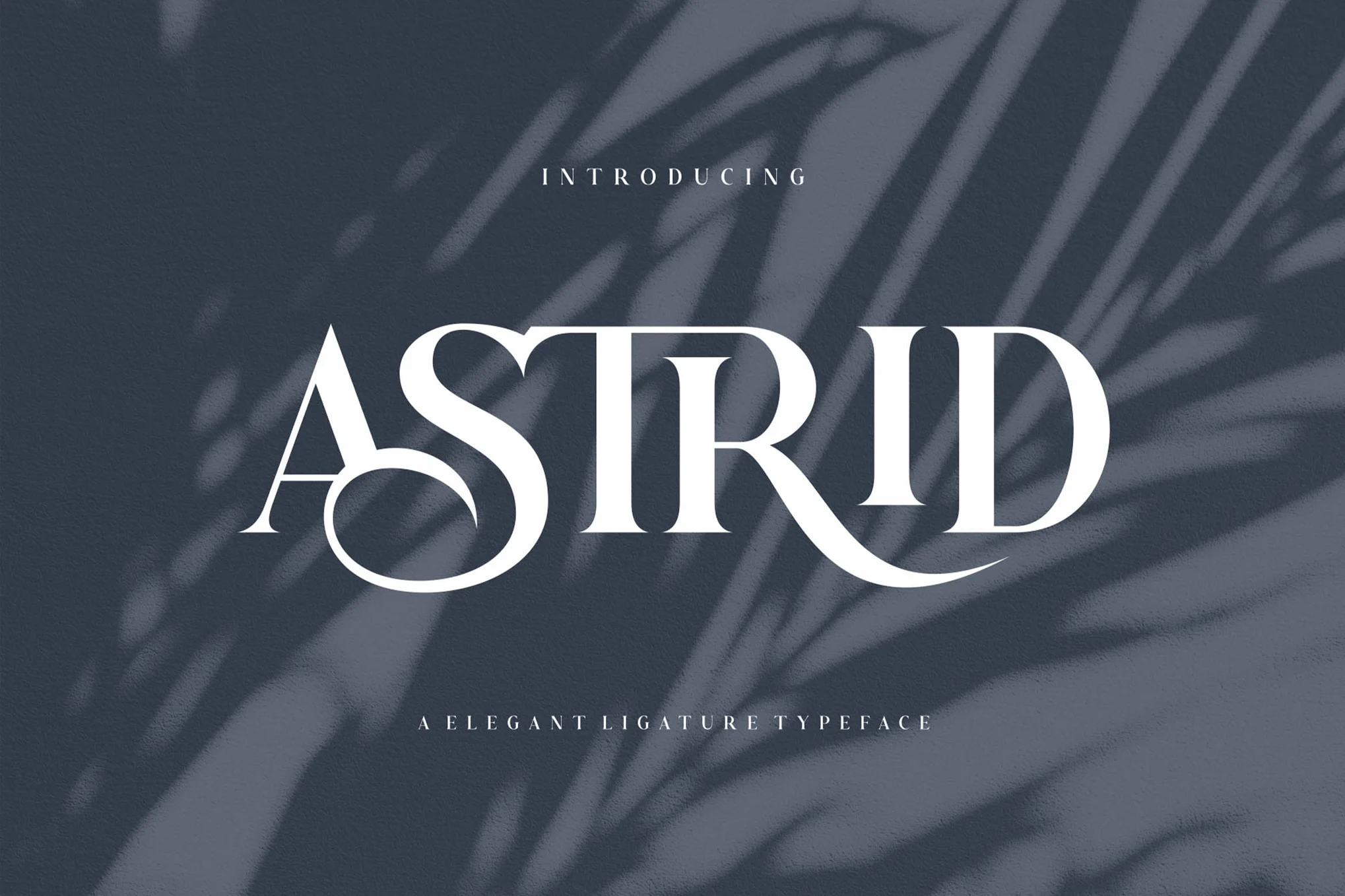 Astrid Elegant Arc Fonts - Photon Fluctuation Network | Professional WordPress repair service, worldwide, rapid response