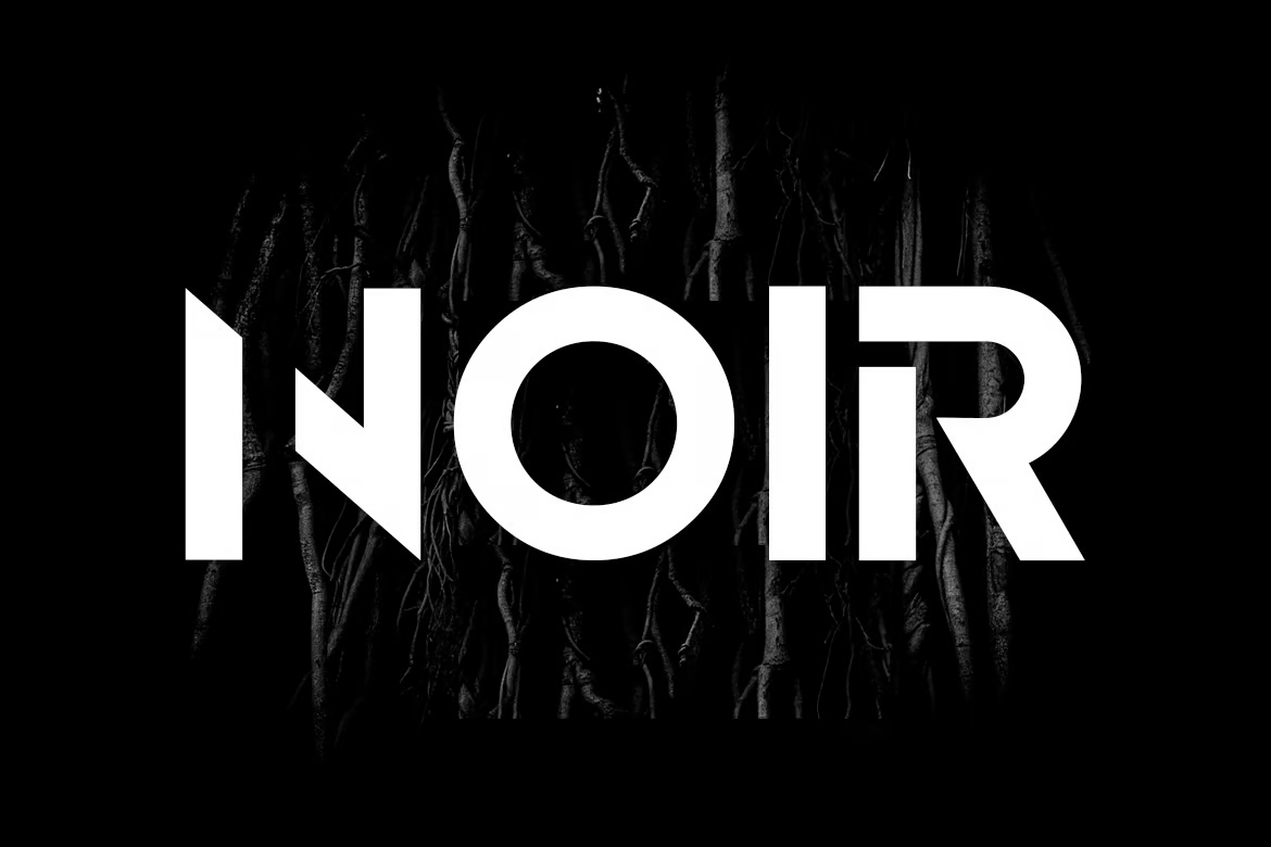 NOIR – 独特而现代的显示/徽标字体-光子波动网 | 专业WordPress修复服务，全球范围，快速响应