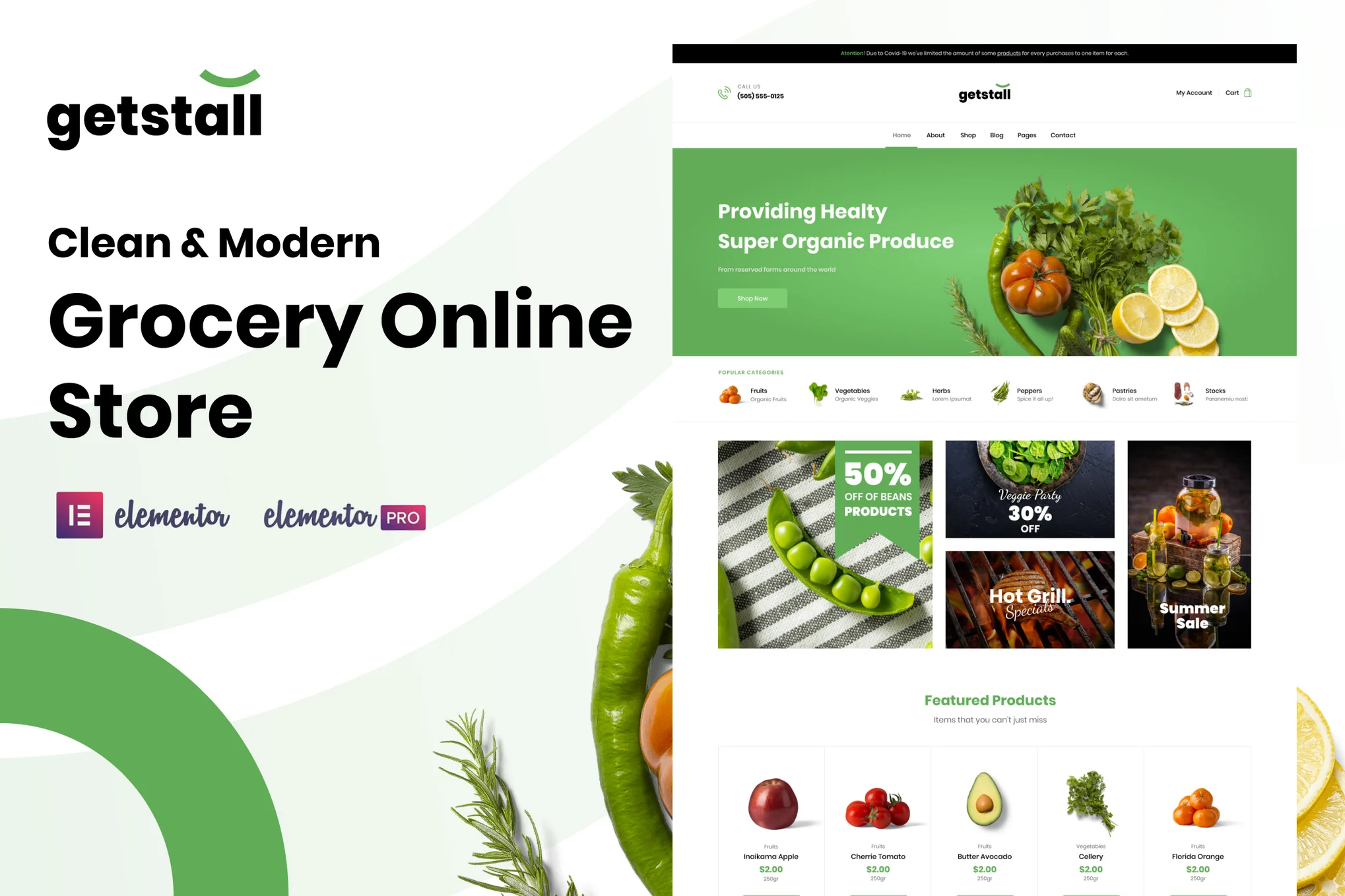 Getstall - Grocery Store Elementor Template Suite - Photon Flux Network | Professional WordPress Repair Service, Global Reach, Fast Response