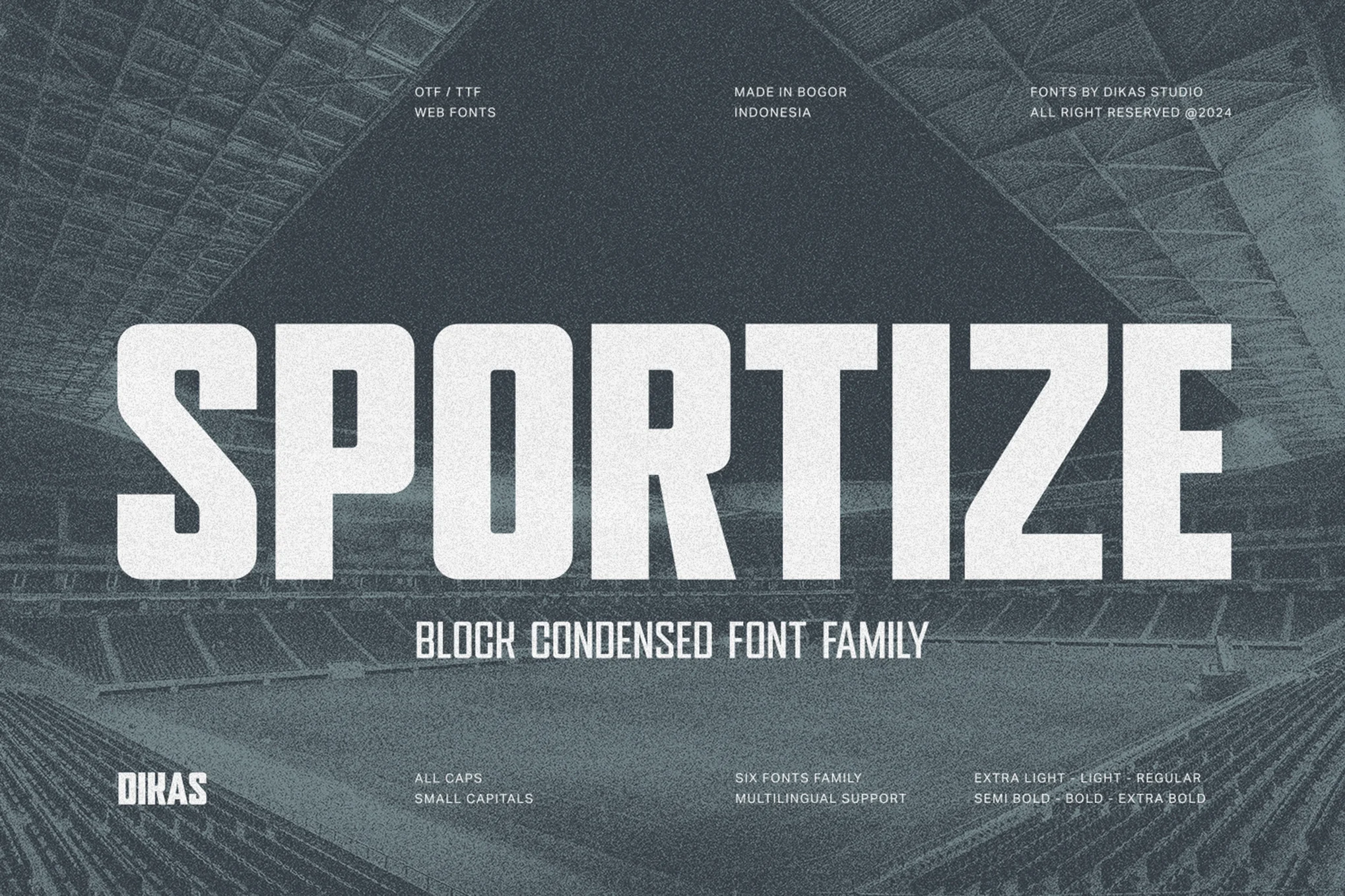 Sportize - Bold Condensed Sport Font Family - Photon Flux | Professional WordPress Repair Service, Global Reach, Fast Response