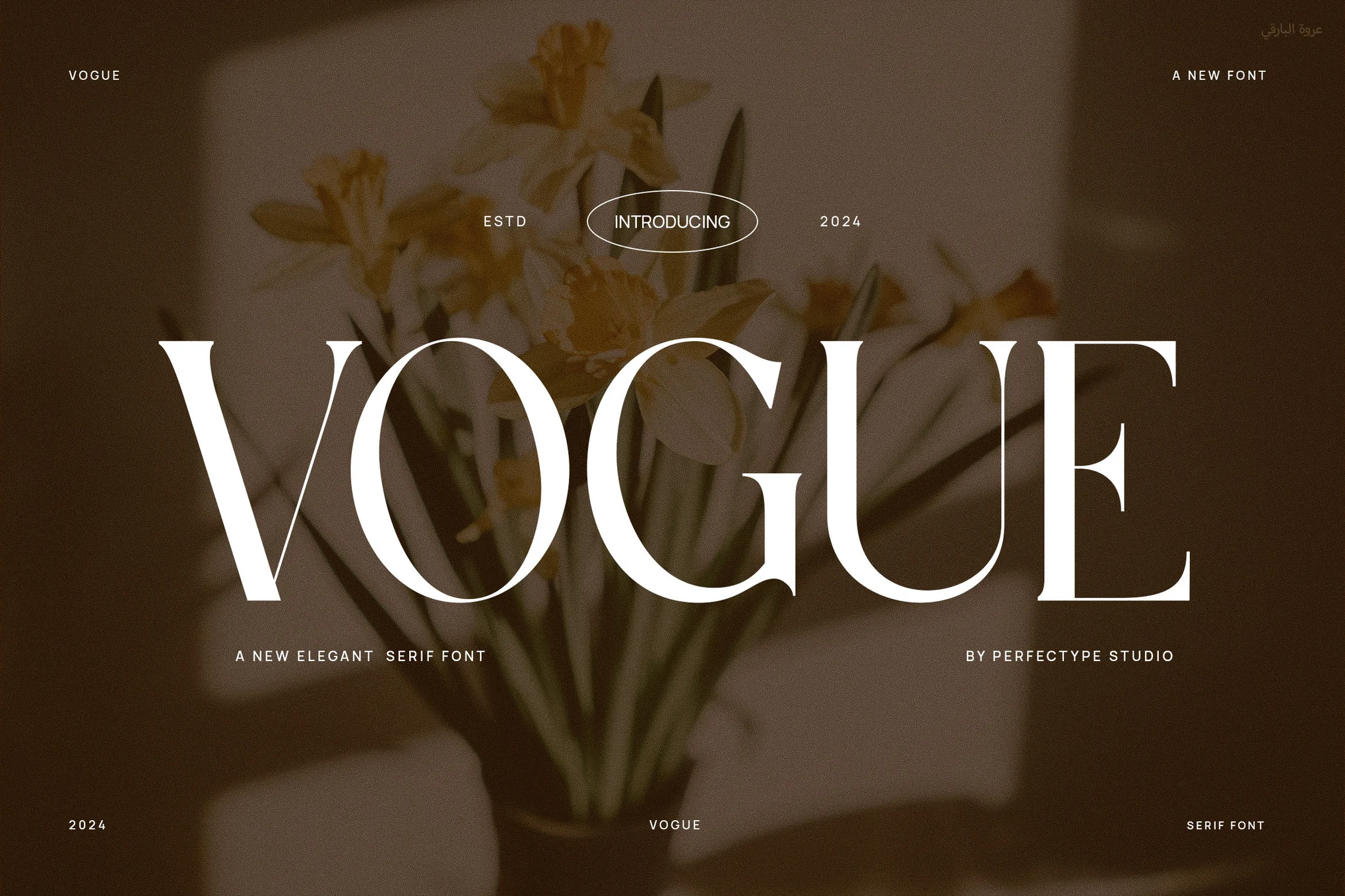 Vogue Elegant Serif 字体类型-光子波动网 | 专业WordPress修复服务，全球范围，快速响应