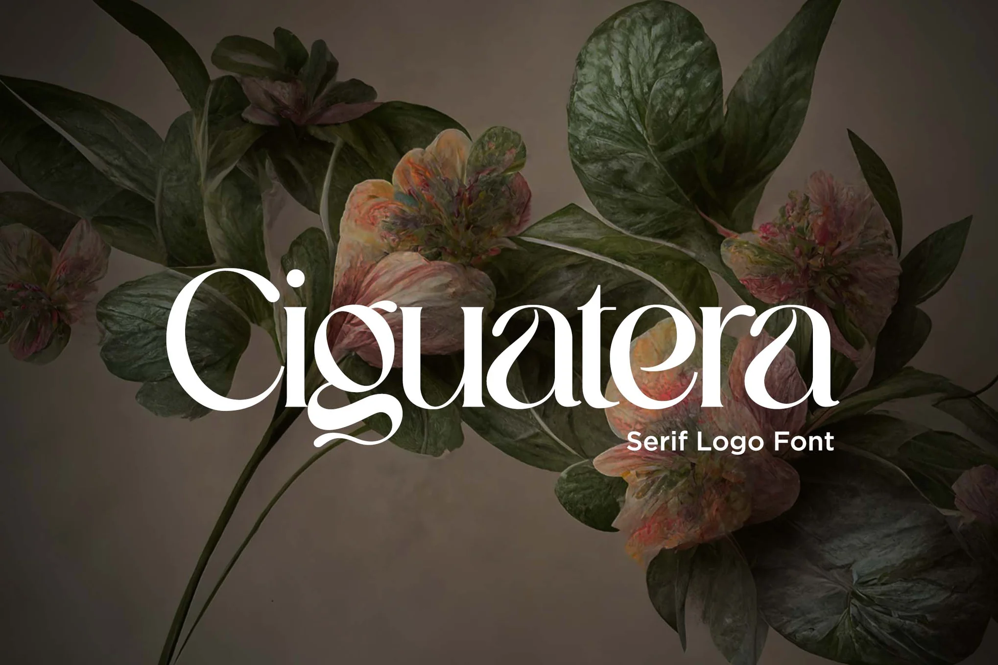 Ciguatera Serif Logo Font – 衬线标志字体-光子波动网 | 专业WordPress修复服务，全球范围，快速响应