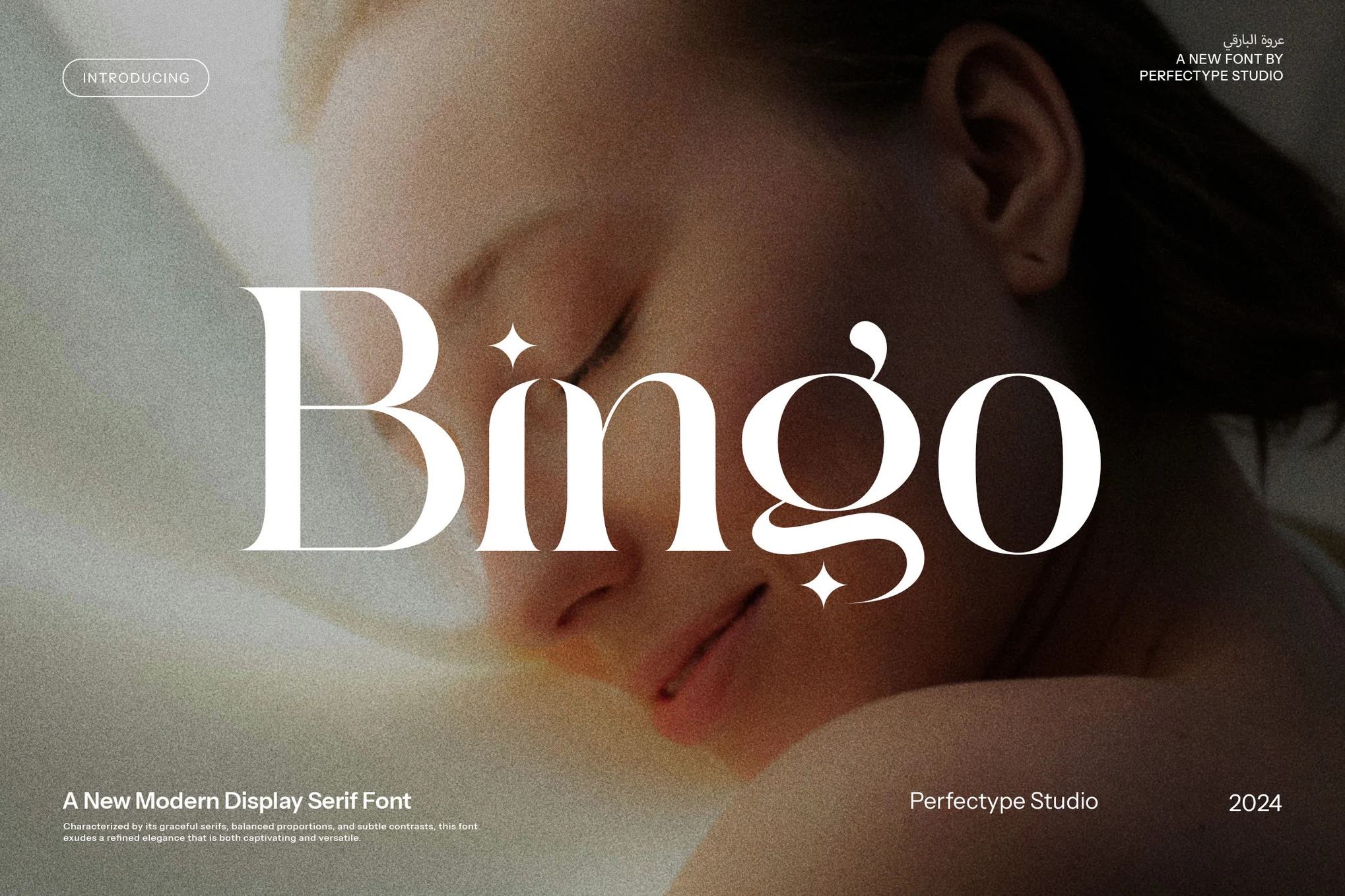 Bingo - Modern Serif Fonts - Photon Flux | Professional WordPress Repair Service, Global Reach, Fast Response