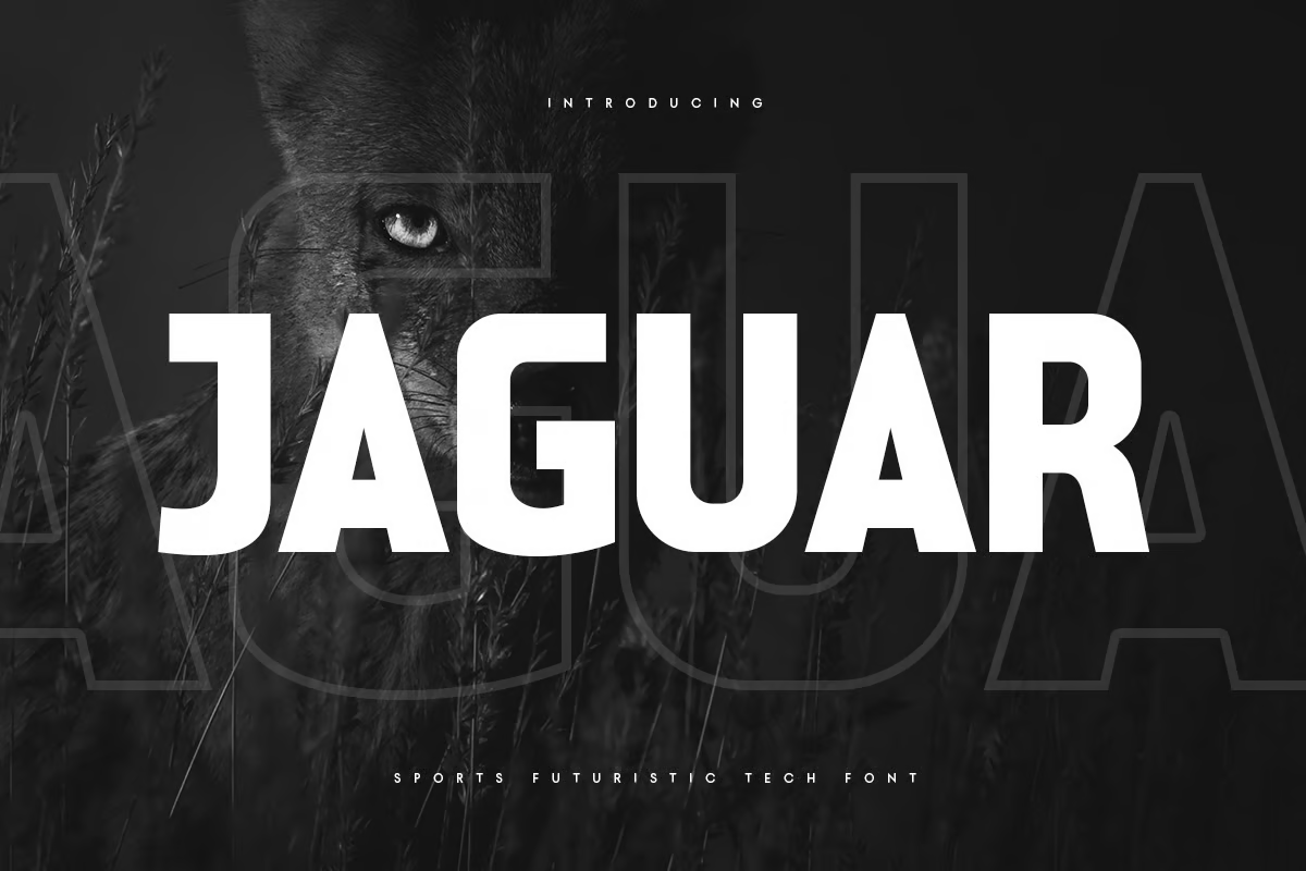 Jaguar – 体育未来科技字体-光子波动网 | 专业WordPress修复服务，全球范围，快速响应