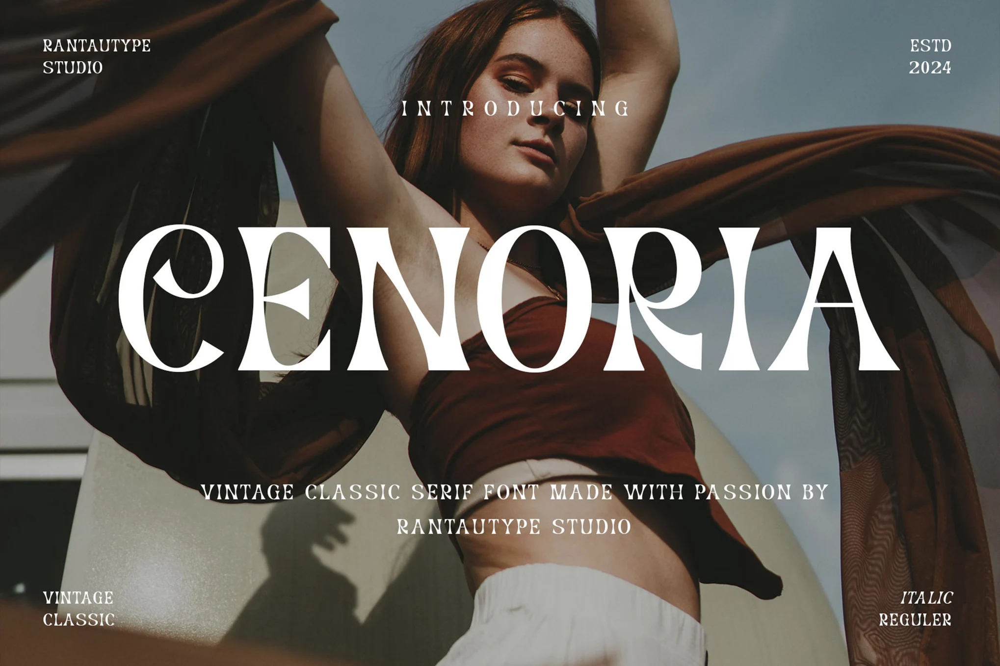 Cenoria Vintage Classic Fonts - Photon Flux｜プロのWordPress修理サービス！