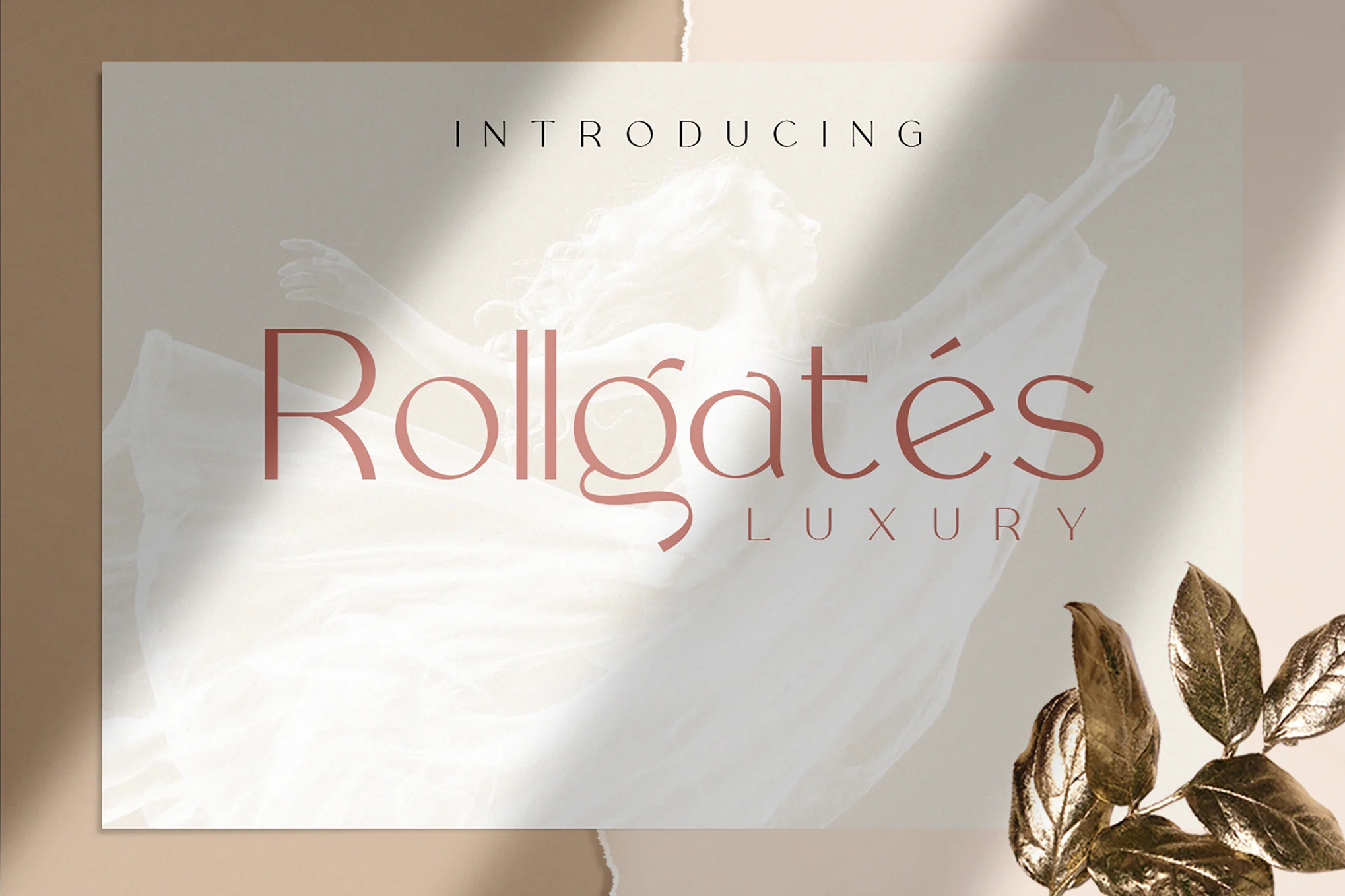 Rollgates Luxury Fonts - Photon Fluctuation Network | Service professionnel de réparation de WordPress, dans le monde entier, réponse rapide