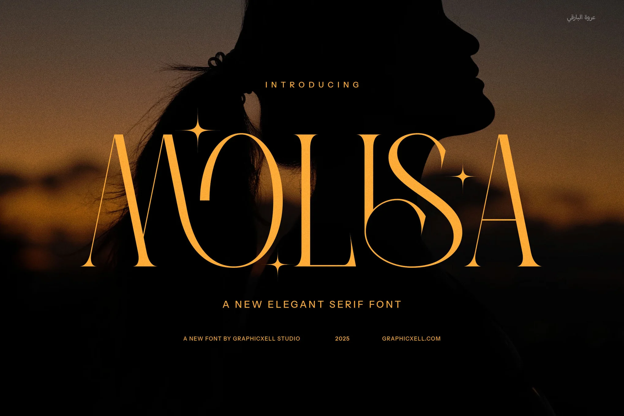 Molisa Elegant Serif Fonts - Photon Volatility｜プロのWordPress修理サービス、グローバルリーチ、迅速な対応