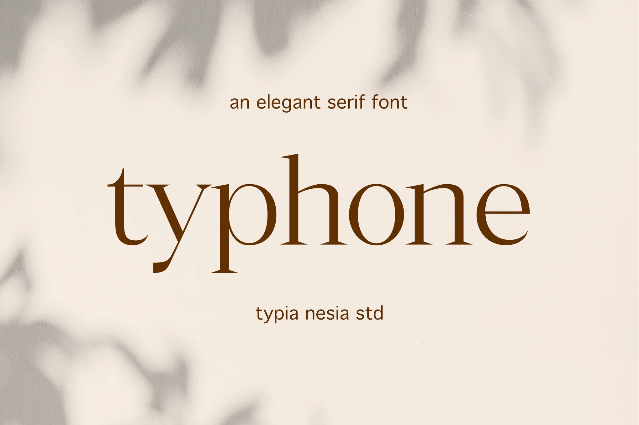 Typhone Elegant Serif Fonts - Photon Fluctuation Network | Servicio profesional de reparación de WordPress, en todo el mundo, respuesta rápida