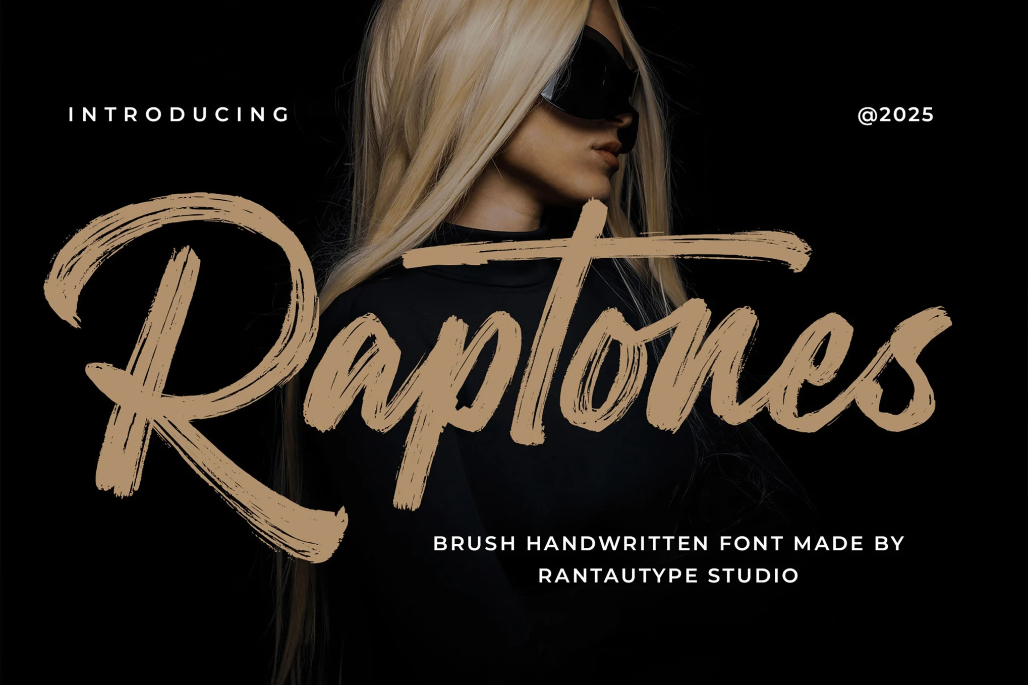 Raptones - Handwriting Brush Fonts - Photon Flux | Professional WordPress repair service, global reach, fast response