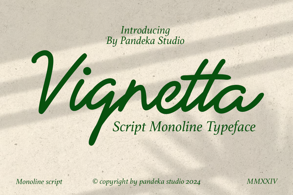 Vignetta - Casual Monoline Handwriting Fonts - Photon Volatility | Professional WordPress Repair Service, Global Reach, Quick Response