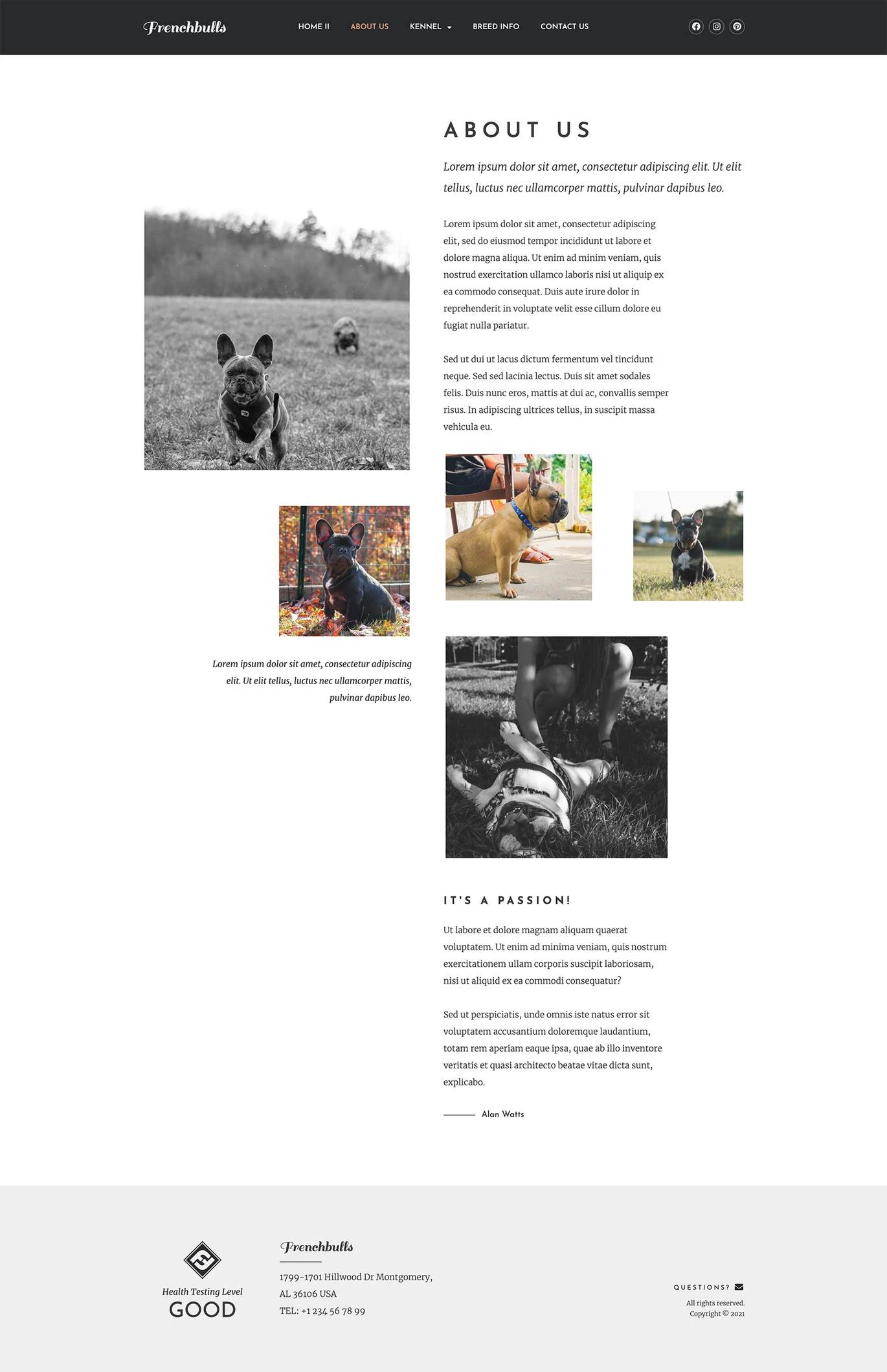 Frenchbulls | Dog Breeding Elementor Template Suite - Photon Volatility Network | Service de réparation WordPress professionnel, dans le monde entier, réponse rapide