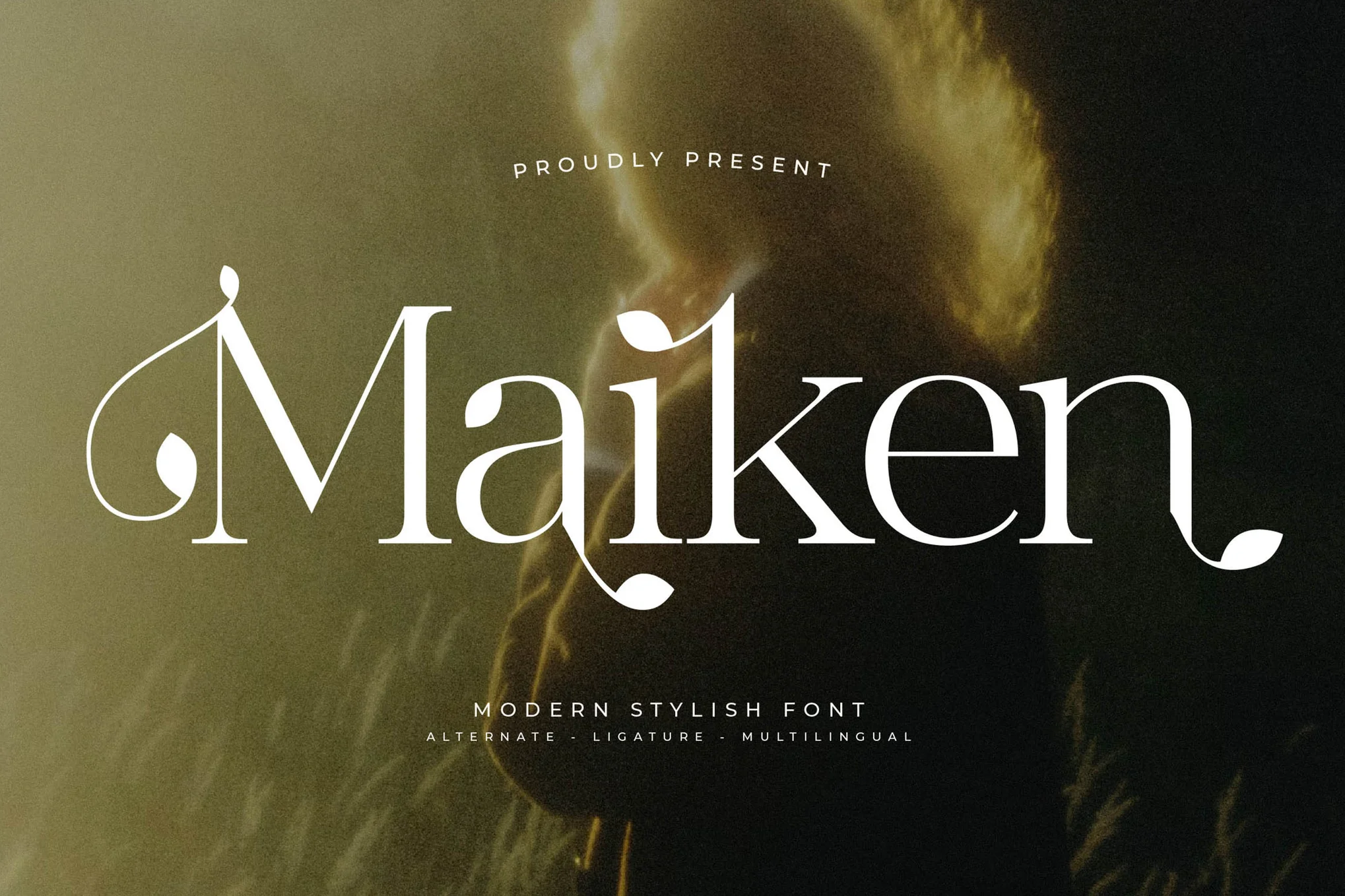 Maiken – 现代衬线字体-光子波动网 | 专业WordPress修复服务，全球范围，快速响应