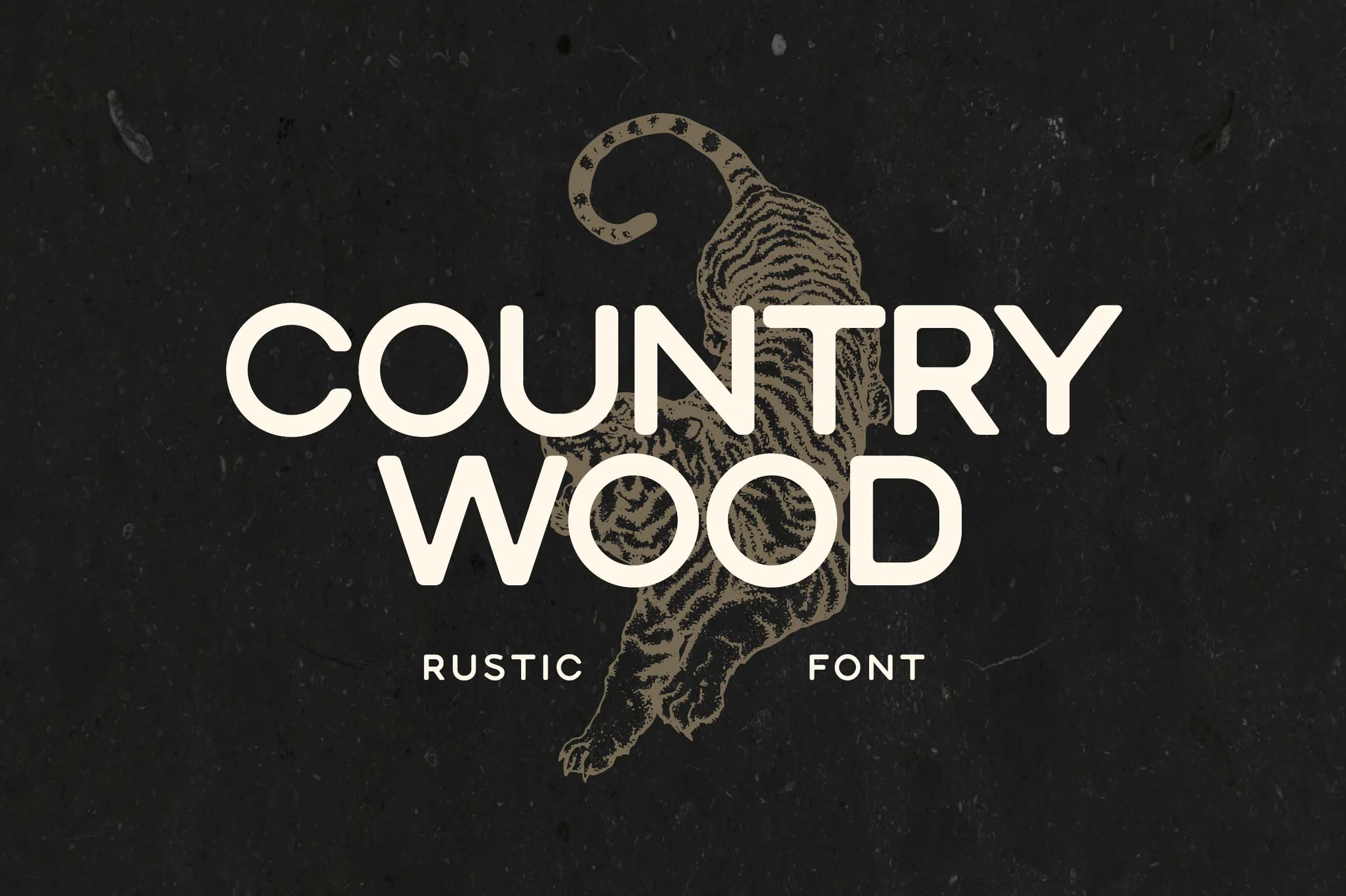 Country Wood Rustic 字体-光子波动网 | 专业WordPress修复服务，全球范围，快速响应