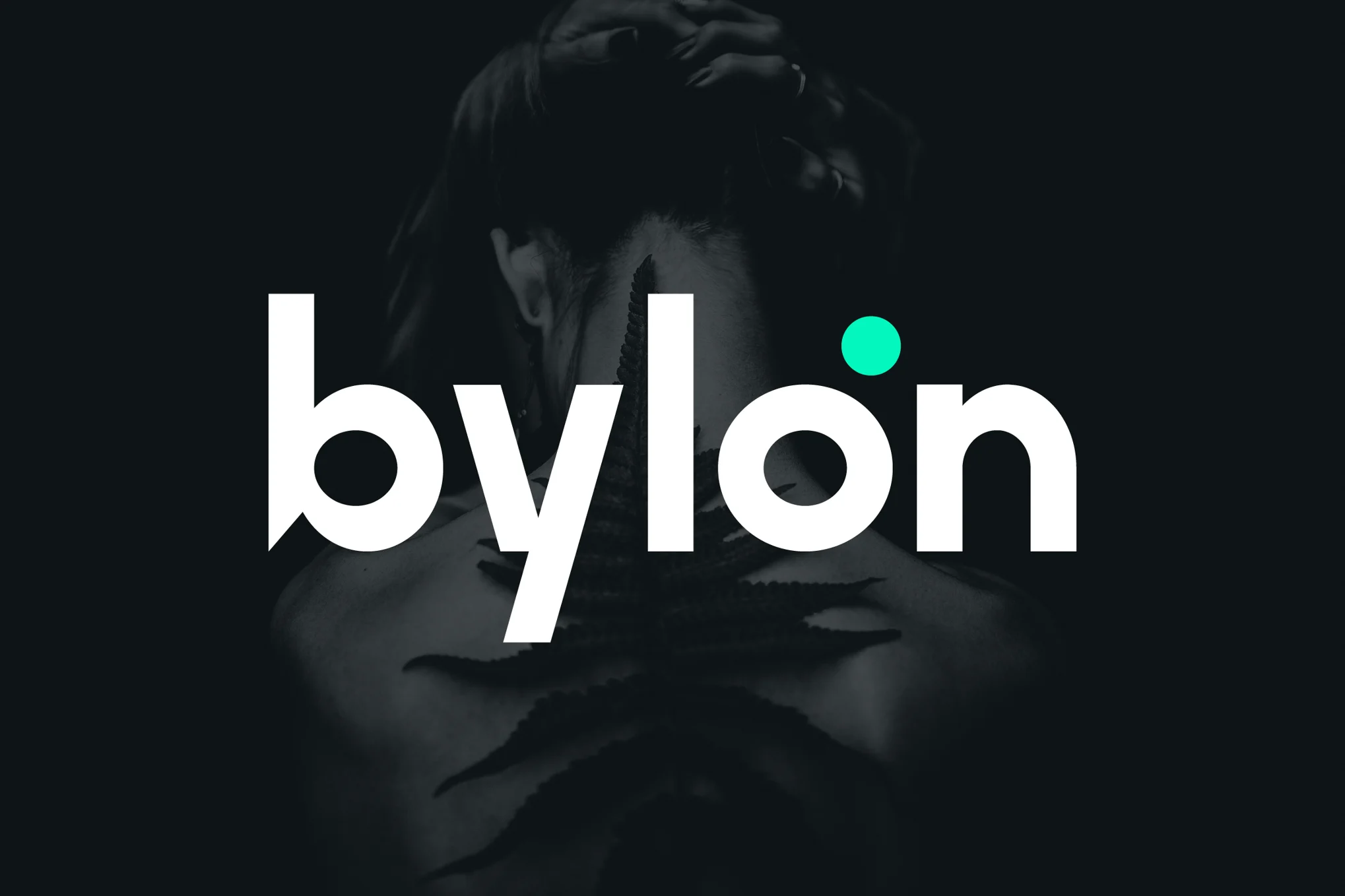 Bylon Sans Logo 字体-光子波动网 | 专业WordPress修复服务，全球范围，快速响应