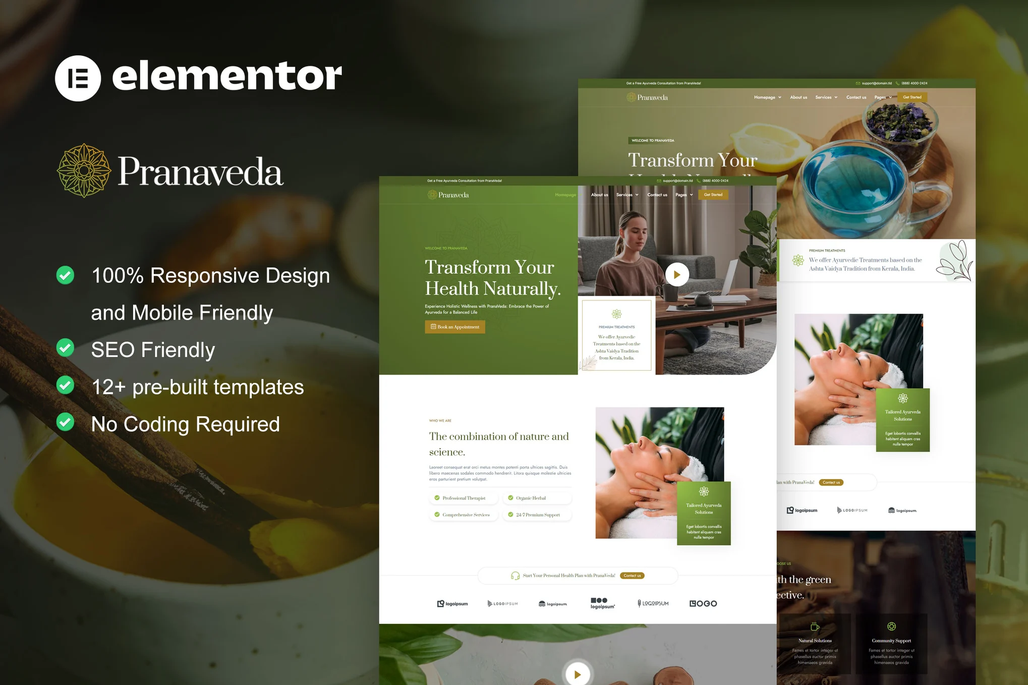 PranaVeda – 阿育吠陀治疗与水疗 Elementor Pro 模板套件-光子波动网 | 专业WordPress修复服务，全球范围，快速响应